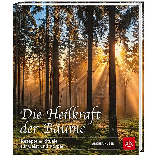 Die Heilkraft der Bäume, Andrea Huber