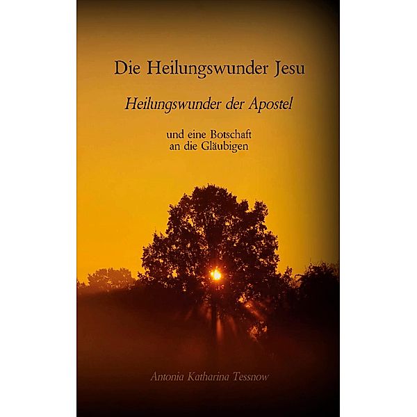 Die Heilungswunder Jesu, Heilungswunder der Apostel, Antonia Katharina Tessnow