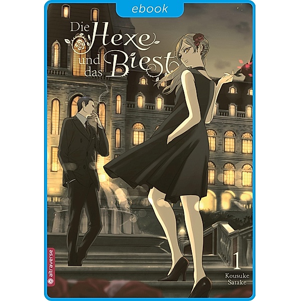 Die Hexe und das Biest 01 / Die Hexe und das Biest Bd.1, Kousuke Satake