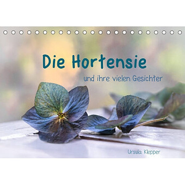 Die Hortensie und ihre vielen Gesichter (Tischkalender 2022 DIN A5 quer), Ursula Klepper