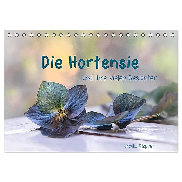 Die Hortensie und ihre vielen Gesichter (Tischkalender 2024 DIN A5 quer), CALVENDO Monatskalender, Ursula Klepper