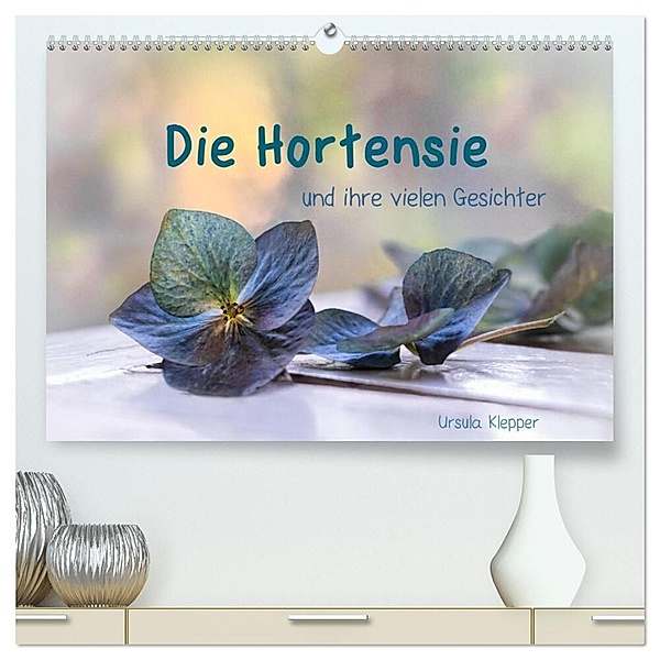 Die Hortensie und ihre vielen Gesichter (hochwertiger Premium Wandkalender 2024 DIN A2 quer), Kunstdruck in Hochglanz, Ursula Klepper