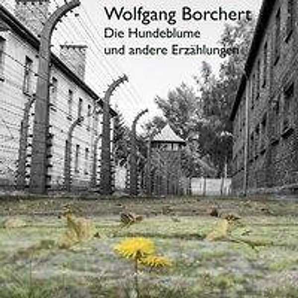 Die Hundeblume, Audio-CD, Wolfgang Borchert