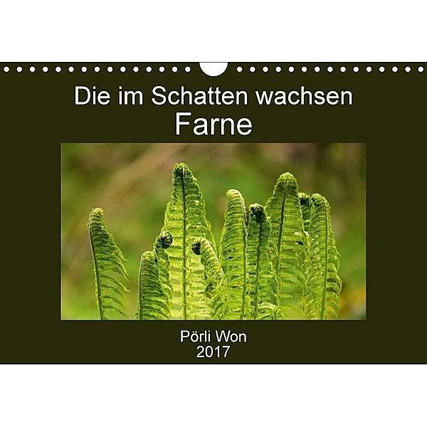 Die im Schatten wachsen - Farne (Wandkalender 2017 DIN A4 quer), Pörli Won