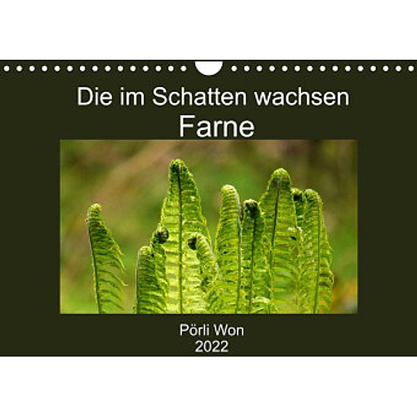 Die im Schatten wachsen - Farne (Wandkalender 2022 DIN A4 quer), Pörli Won