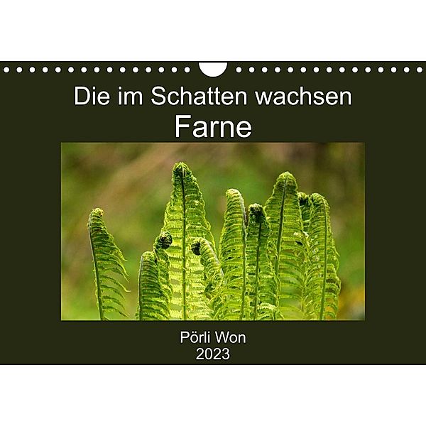 Die im Schatten wachsen - Farne (Wandkalender 2023 DIN A4 quer), Pörli Won