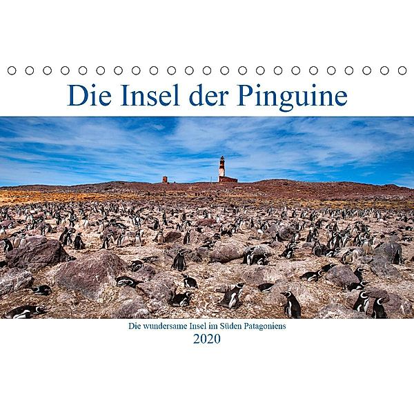 Die Insel der Pinguine - Die wundersame Insel im Süden Patagoniens (Tischkalender 2020 DIN A5 quer), Bernd Zillich