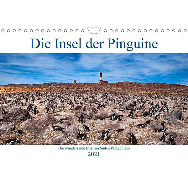 Die Insel der Pinguine - Die wundersame Insel im Süden Patagoniens (Wandkalender 2021 DIN A4 quer), Bernd Zillich