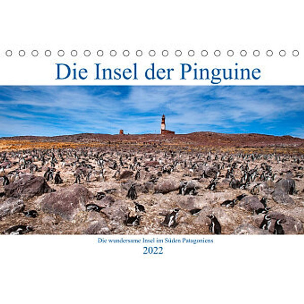 Die Insel der Pinguine - Die wundersame Insel im Süden Patagoniens (Tischkalender 2022 DIN A5 quer), Bernd Zillich