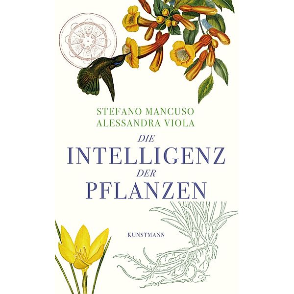 Die Intelligenz der Pflanzen, Stefano Mancuso, Alessandra Viola