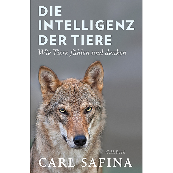 Die Intelligenz der Tiere, Carl Safina