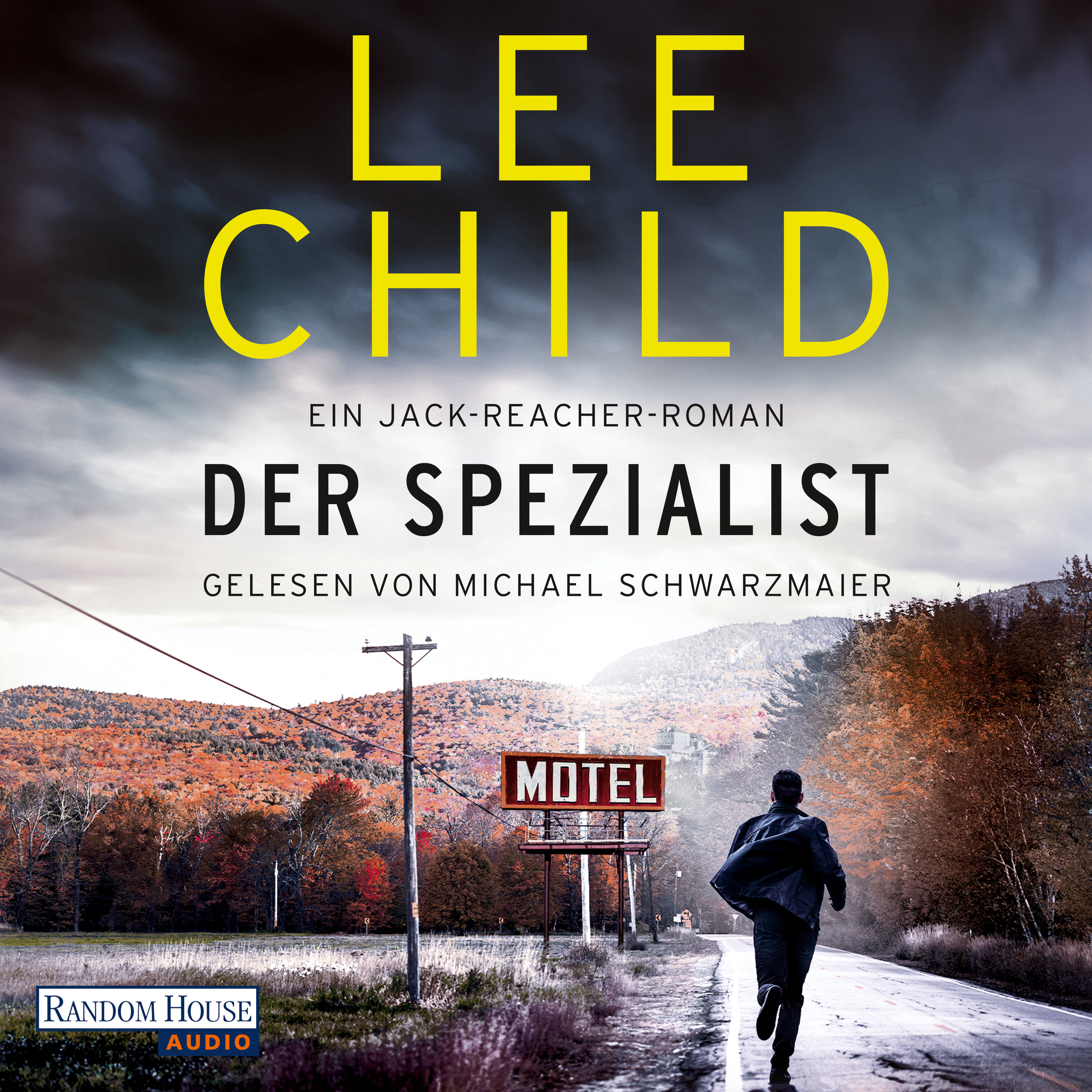 Die-Jack-Reacher-Romane - 23 - Der Spezialist Hörbuch Download