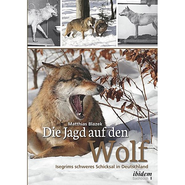 Die Jagd auf den Wolf, Matthias Blazek