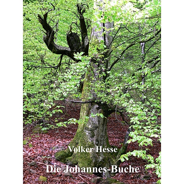 Die Johannes-Buche, Volker Hesse