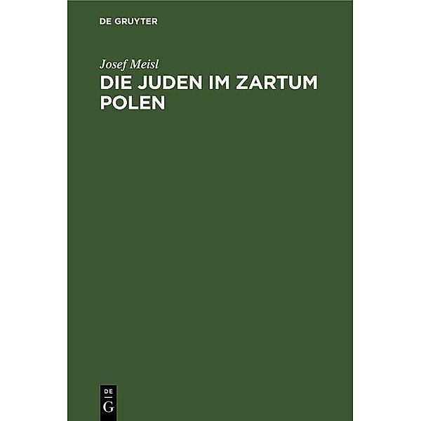 Die Juden im Zartum Polen, Josef Meisl