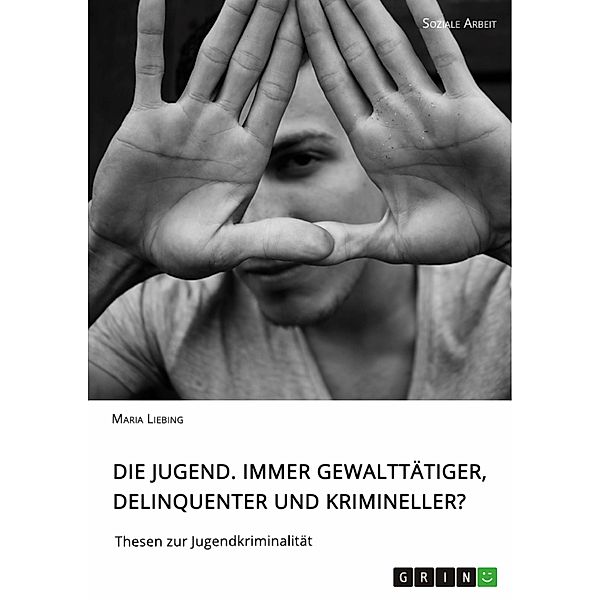 Die Jugend. Immer gewalttätiger, delinquenter und krimineller?, Maria Liebing