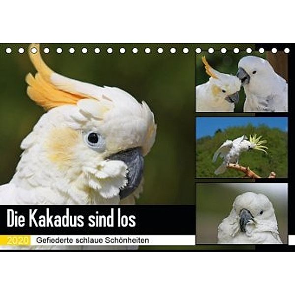 Die Kakadus sind los (Tischkalender 2020 DIN A5 quer), Antje Lindert-Rottke