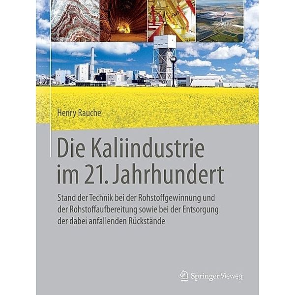 Die Kaliindustrie im 21. Jahrhundert, Henry Rauche