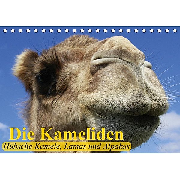 Die Kameliden. Hübsche Kamele, Lamas und Alpakas (Tischkalender 2020 DIN A5 quer), Elisabeth Stanzer
