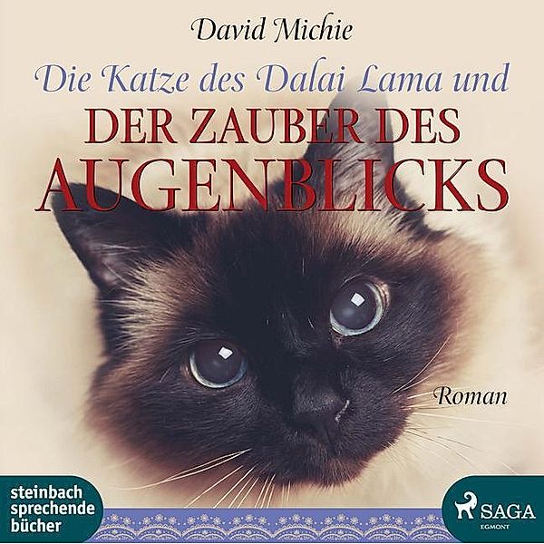 Die Katze des Dalai Lama und der Zauber des Augenblicks,1 Audio-CD, 1 MP3, David Michie