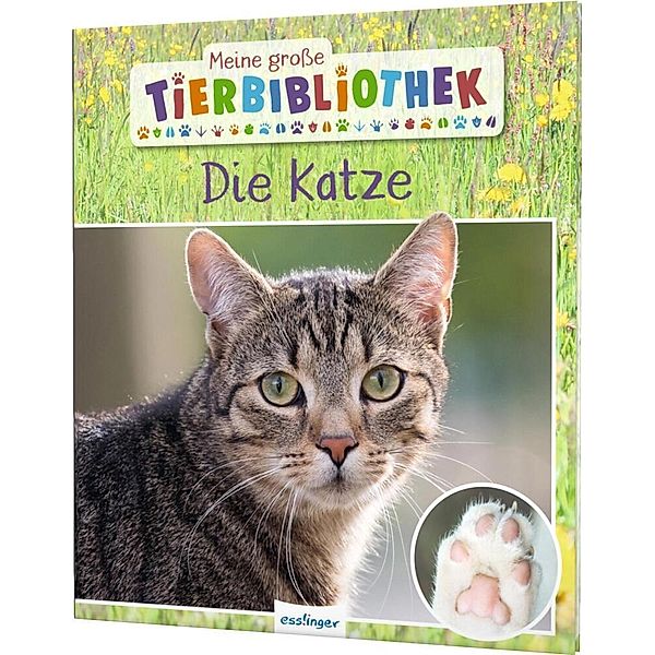 Die Katze / Meine grosse Tierbibliothek Bd.19, Stéphanie Ledu-Frattini