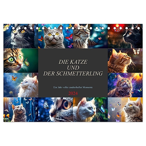 Die Katze und der Schmetterling (Tischkalender 2024 DIN A5 quer), CALVENDO Monatskalender, Dirk Meutzner