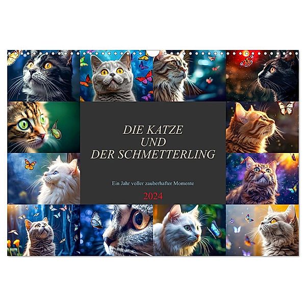 Die Katze und der Schmetterling (Wandkalender 2024 DIN A3 quer), CALVENDO Monatskalender, Dirk Meutzner