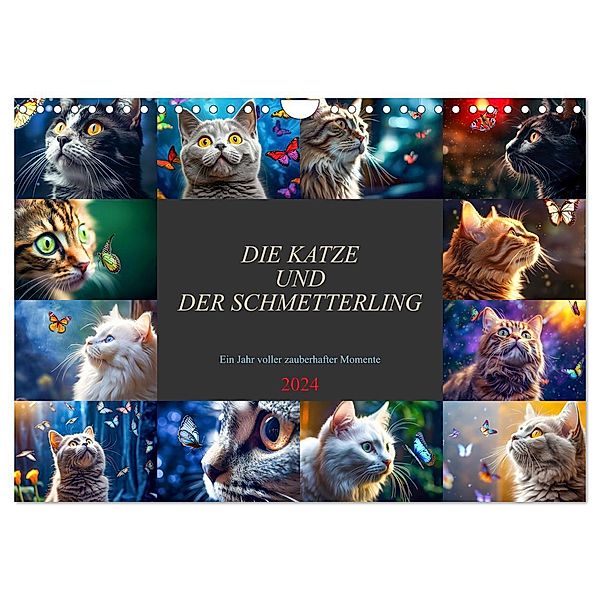 Die Katze und der Schmetterling (Wandkalender 2024 DIN A4 quer), CALVENDO Monatskalender, Dirk Meutzner