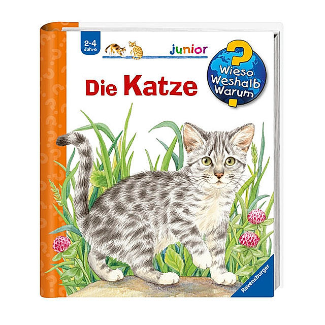 Die Katze Wieso? Weshalb? Warum? Junior Bd.21 Buch - Weltbild.ch