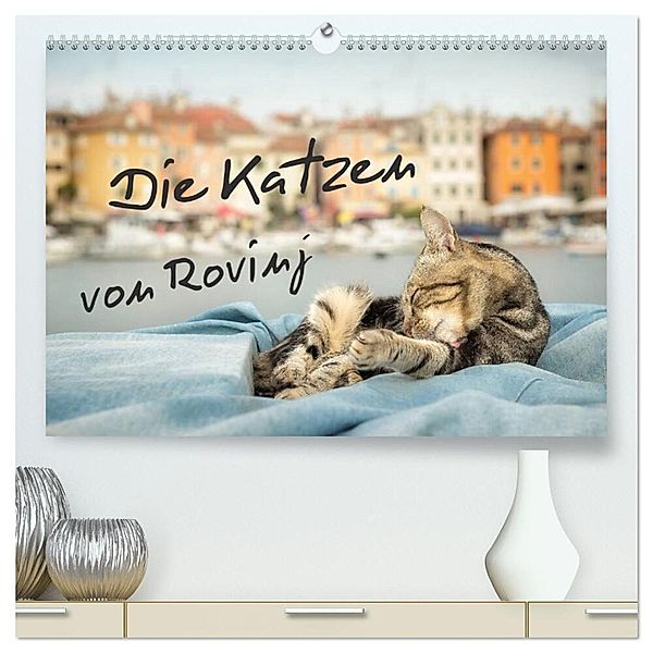 Die Katzen von Rovinj (hochwertiger Premium Wandkalender 2025 DIN A2 quer), Kunstdruck in Hochglanz, Calvendo, Viktor Gross