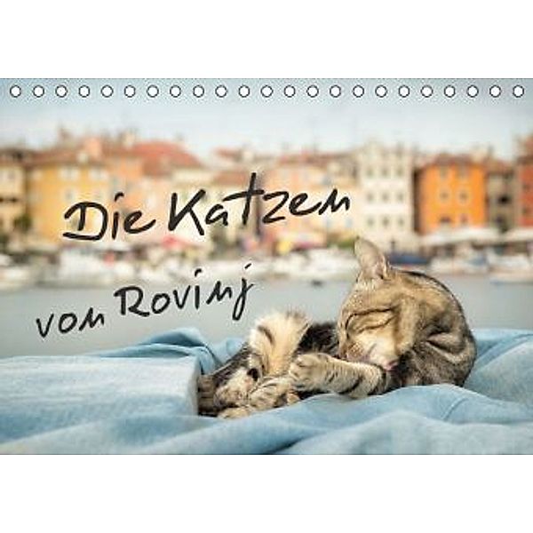 Die Katzen von Rovinj (Tischkalender 2016 DIN A5 quer), Viktor Gross