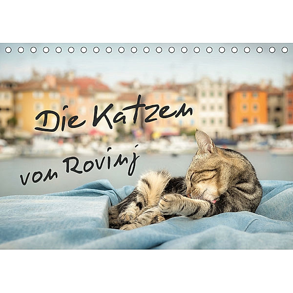 Die Katzen von Rovinj (Tischkalender 2019 DIN A5 quer), Viktor Gross