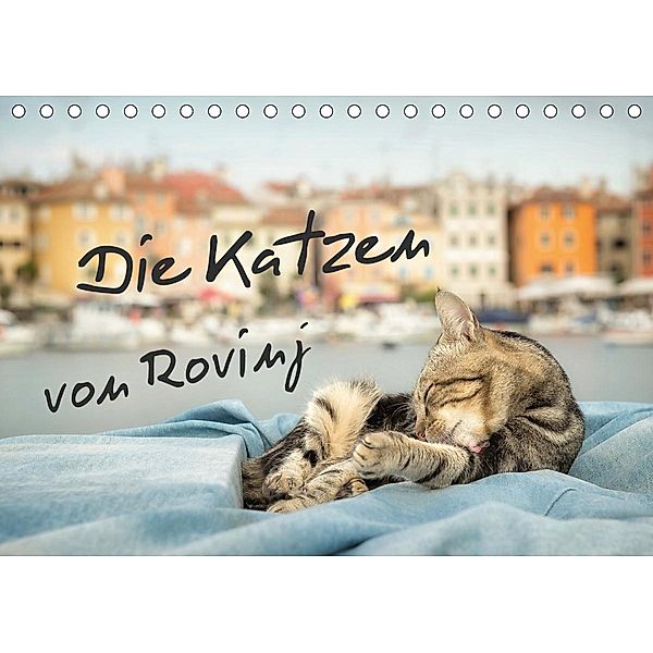 Die Katzen von Rovinj (Tischkalender 2021 DIN A5 quer), Viktor Gross