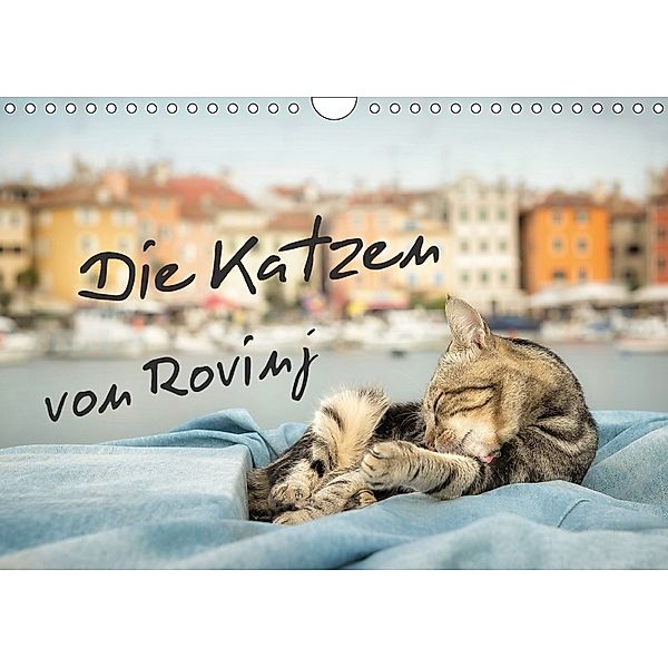 Die Katzen von Rovinj (Wandkalender 2018 DIN A4 quer) Dieser erfolgreiche Kalender wurde dieses Jahr mit gleichen Bilder, Viktor Gross