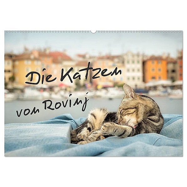 Die Katzen von Rovinj (Wandkalender 2024 DIN A2 quer), CALVENDO Monatskalender, Viktor Gross