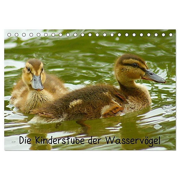 Die Kinderstube der Wasservögel (Tischkalender 2024 DIN A5 quer), CALVENDO Monatskalender, Kattobello