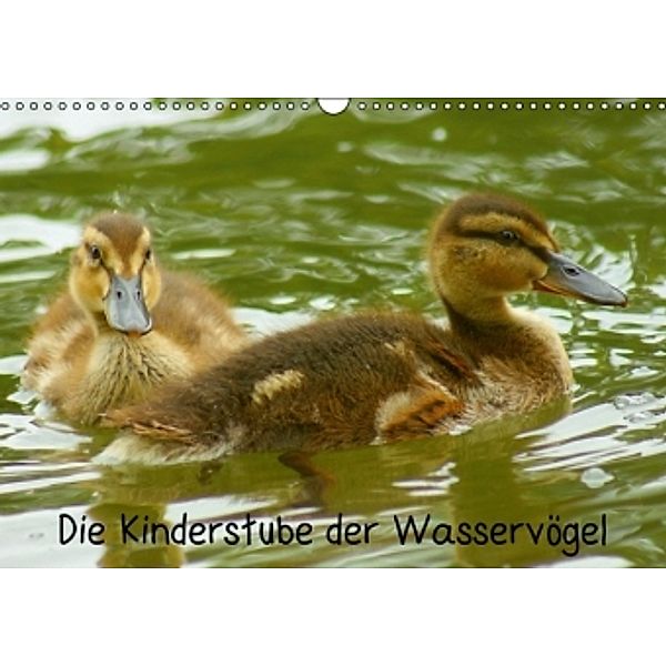 Die Kinderstube der Wasservögel (Wandkalender 2014 DIN A3 quer), Kattobello