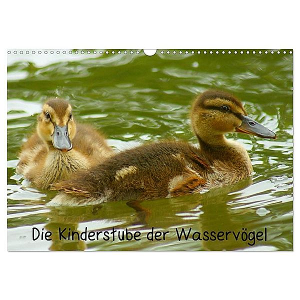 Die Kinderstube der Wasservögel (Wandkalender 2024 DIN A3 quer), CALVENDO Monatskalender, Kattobello