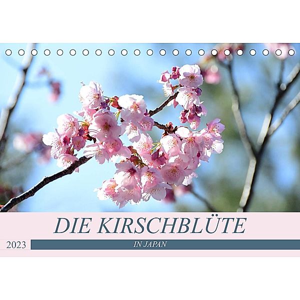Die Kirschblüte in Japan (Tischkalender 2023 DIN A5 quer), Flori0