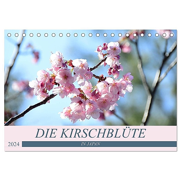 Die Kirschblüte in Japan (Tischkalender 2024 DIN A5 quer), CALVENDO Monatskalender, Flori0