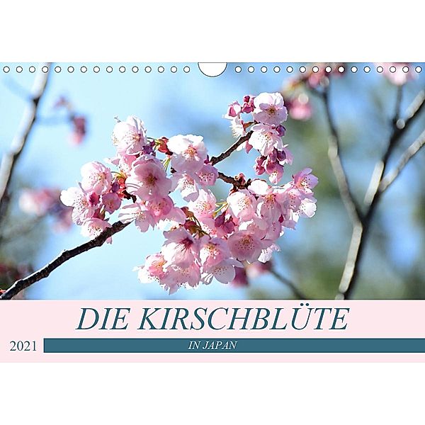 Die Kirschblüte in Japan (Wandkalender 2021 DIN A4 quer), Flori0