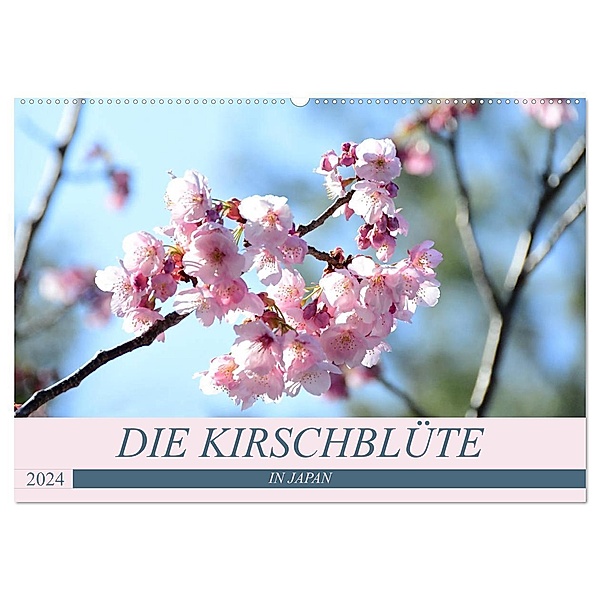 Die Kirschblüte in Japan (Wandkalender 2024 DIN A2 quer), CALVENDO Monatskalender, Flori0