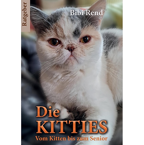 Die Kitties, Bibi Rend