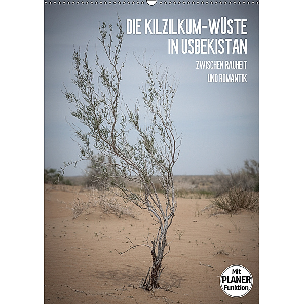 Die Kizilkum-Wüste in Usbekistan - Zwischen Rauheit und Romantik (Wandkalender 2019 DIN A2 hoch), Jeanette Dobrindt