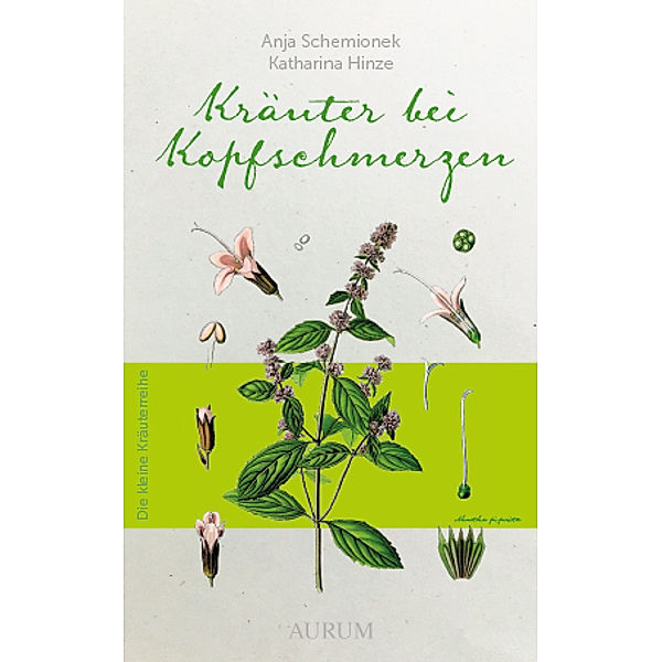 Die kleine Kräuterreihe / Kräuter bei Kofpschmerzen, Anja Schemionek, Katharina Hinze
