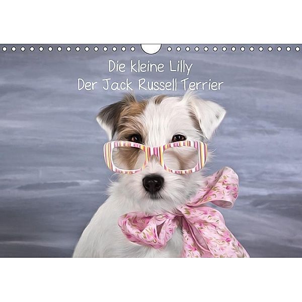 Die kleine Lilly. Der Jack Russell Terrier (Wandkalender 2017 DIN A4 quer), Monika Leirich