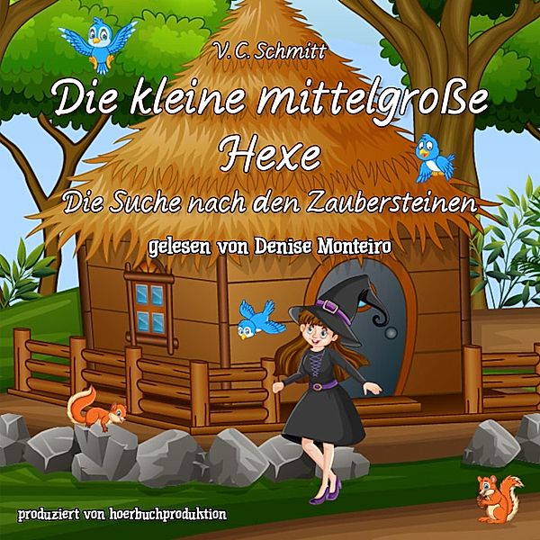 Die kleine mittelgrosse Hexe, V.C. Schmitt