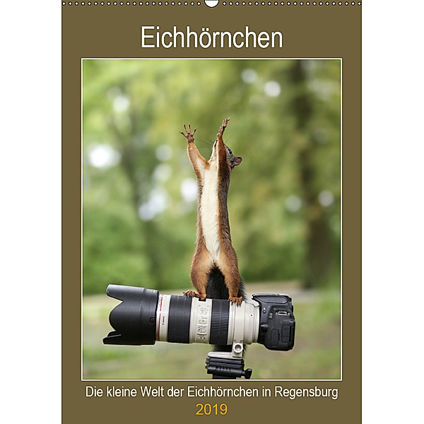 Die kleine Welt der Eichhörnchen in Regensburg (Wandkalender 2019 DIN A2 hoch), Birgit Cerny