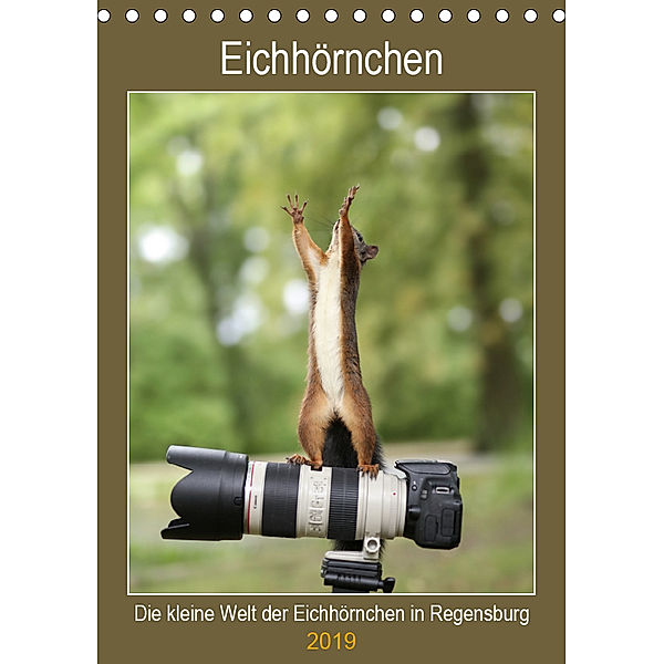 Die kleine Welt der Eichhörnchen in Regensburg (Tischkalender 2019 DIN A5 hoch), Birgit Cerny