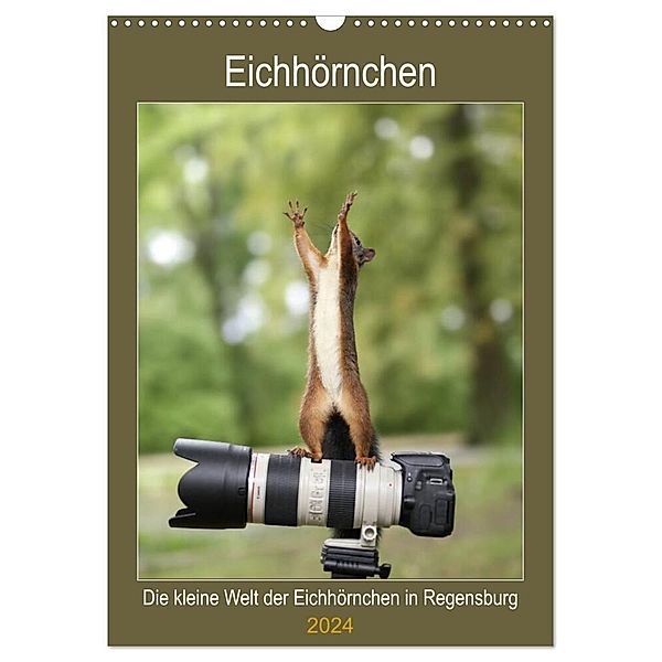 Die kleine Welt der Eichhörnchen in Regensburg (Wandkalender 2024 DIN A3 hoch), CALVENDO Monatskalender, Birgit Cerny